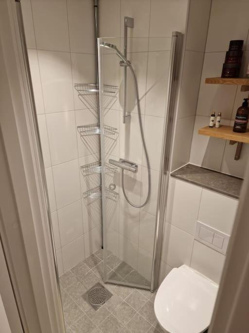 Modern Room With Bathroom, No Kitchen And Your Own Entrance Стокгольм Экстерьер фото